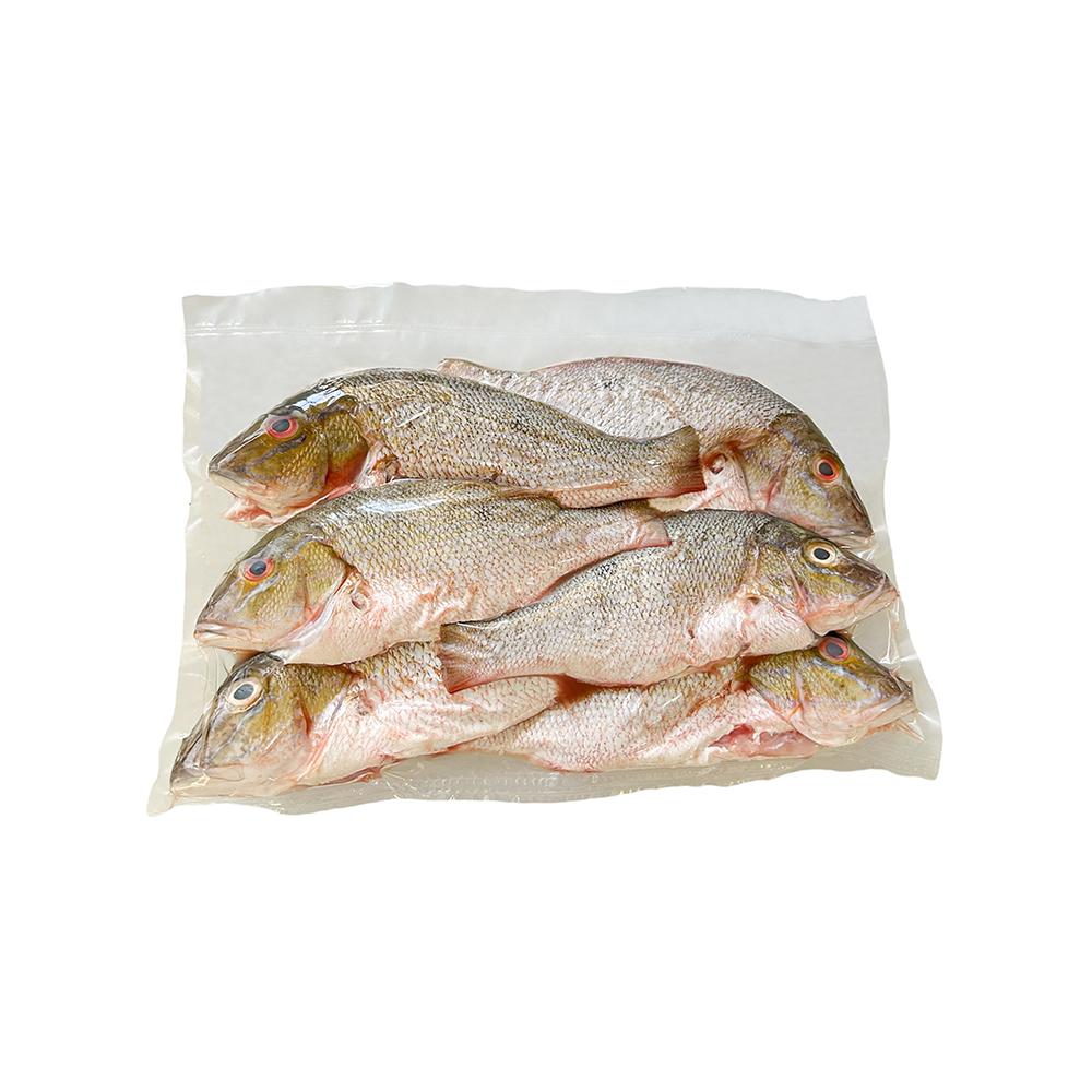Pescado Pargo Entero Escamado (2kg / 4.4lb)