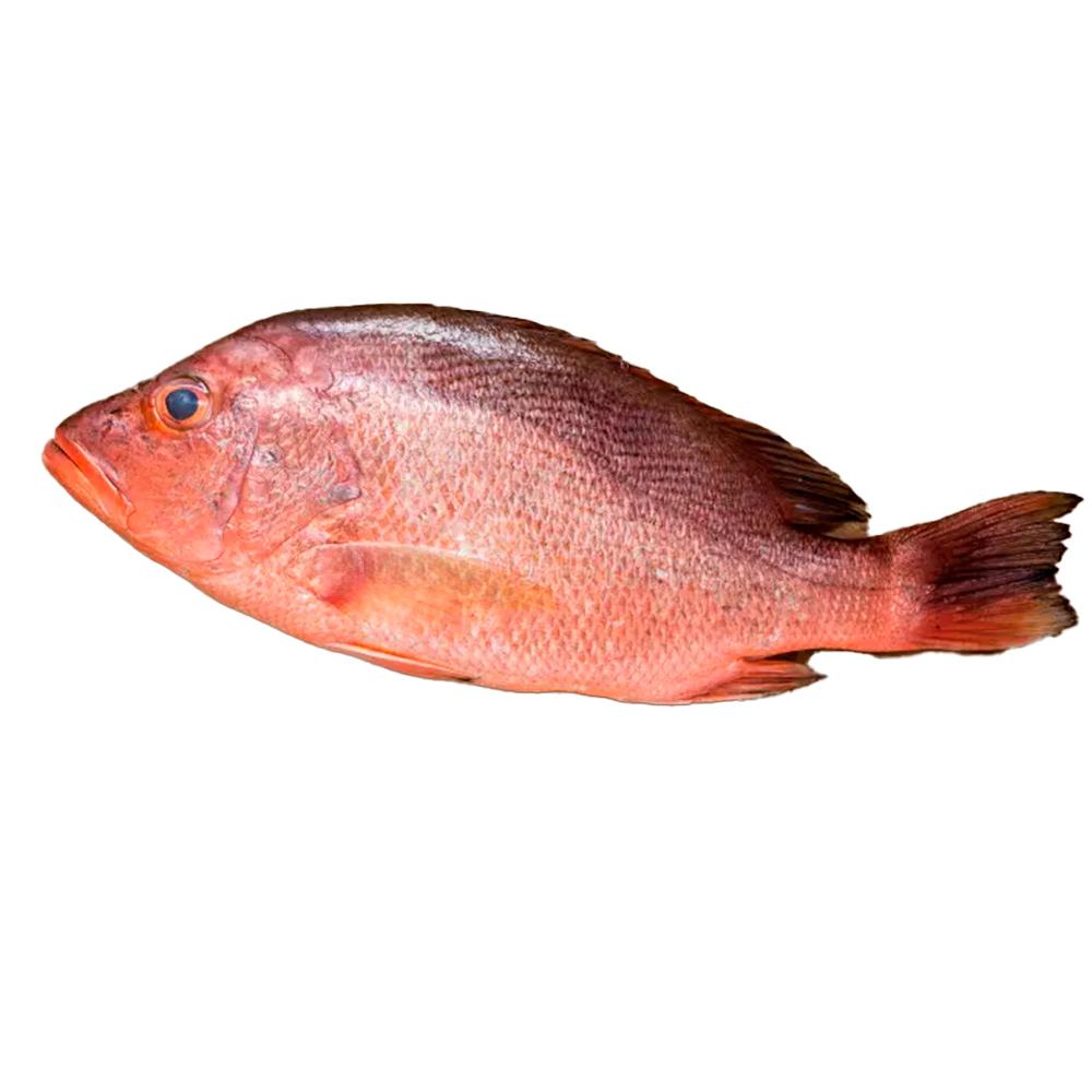 Pescado Pargo entero Ida y Vuelta (2.27 kg / 5 lb)