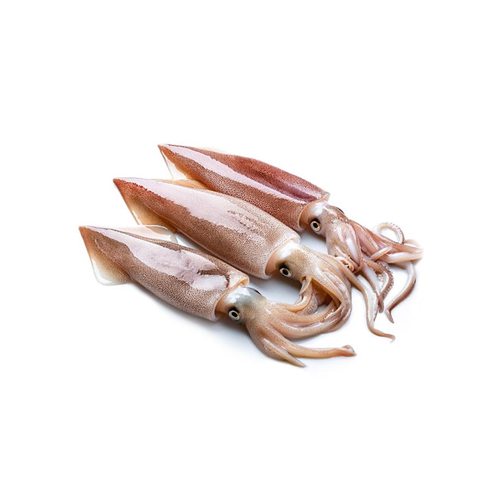 Calamar (454 g / 1 lb)