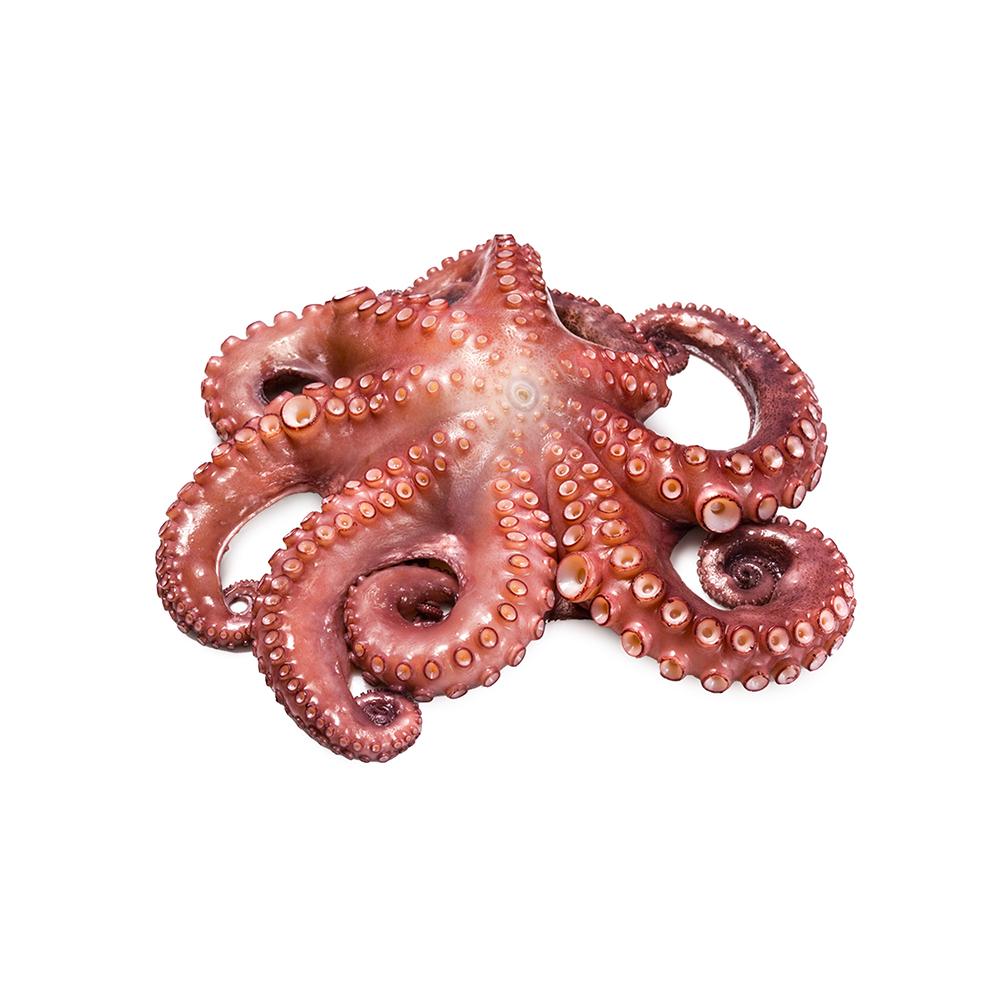 Pulpo limpio Pescaito (454 g / 1 lb)